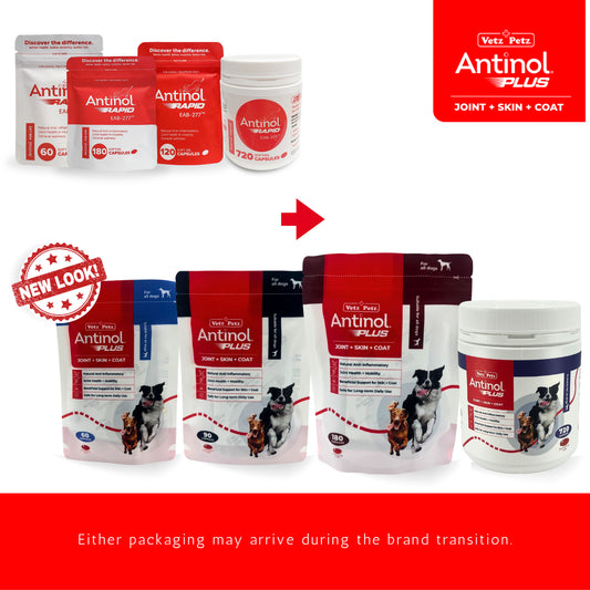 Antinol Rapid for Dogs