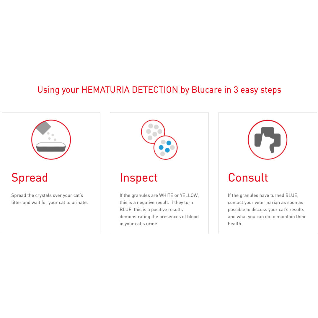 Royal Canin Hematuria Detection by Blücare 2 x 20g